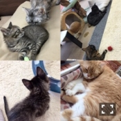 ブログイメージ