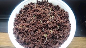 ブログイメージ