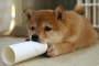 [予定が・・] イメージ