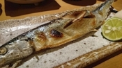 ブログイメージ