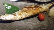 ブログイメージ