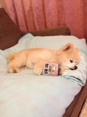 ブログイメージ