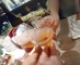 [乾杯] イメージ
