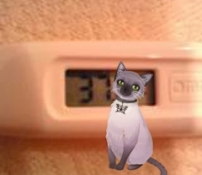 ブログイメージ