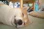 [だから] イメージ