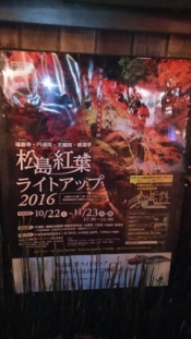 ブログイメージ