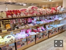 ブログイメージ