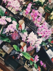 ブログイメージ