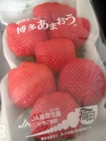 ブログイメージ