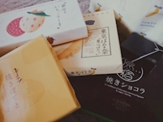 ブログイメージ