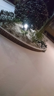 ブログイメージ