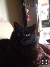 ブログイメージ