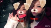 ブログイメージ