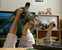 ブログイメージ