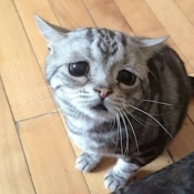 ブログイメージ