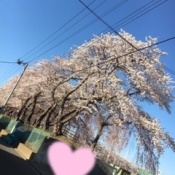 ブログイメージ