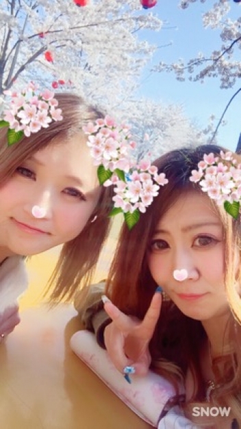 ブログイメージ