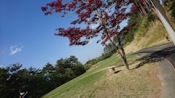 ブログイメージ