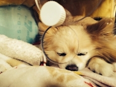 ブログイメージ