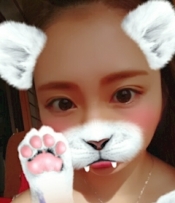 ブログイメージ