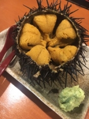 ブログイメージ