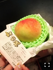 ブログイメージ