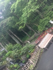 ブログイメージ
