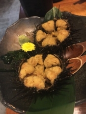 ブログイメージ