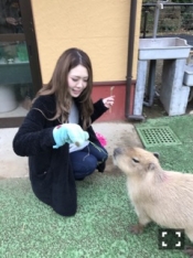 ブログイメージ