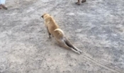 ブログイメージ