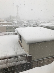 ブログイメージ