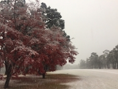 ブログイメージ