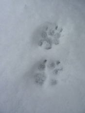 ブログイメージ