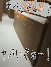 ブログイメージ