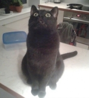 ブログイメージ