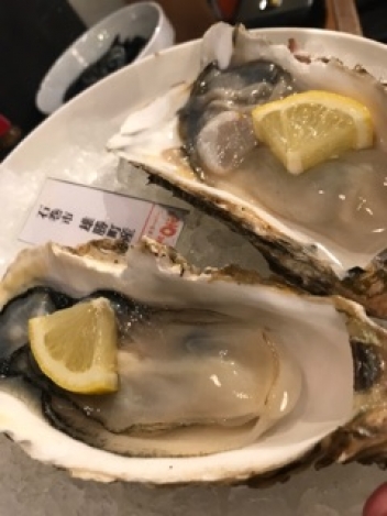 ブログイメージ