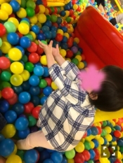 ブログイメージ