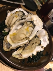 ブログイメージ