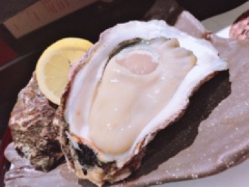 ブログイメージ