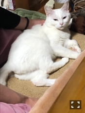 ブログイメージ