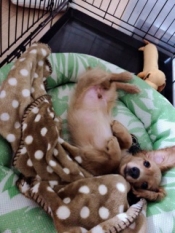 ブログイメージ