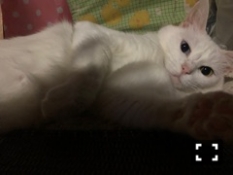 ブログイメージ