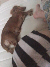 ブログイメージ