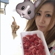 ブログイメージ