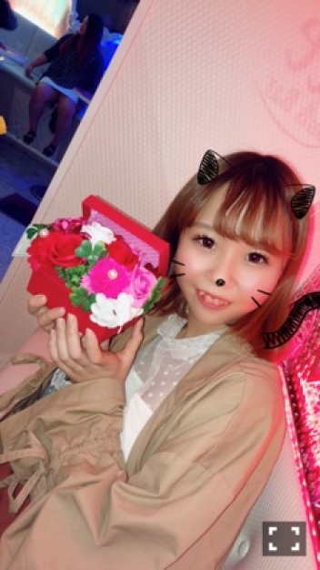 ブログイメージ