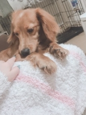 ブログイメージ