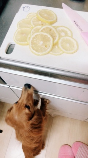 ブログイメージ