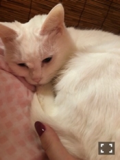 ブログイメージ