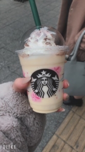 ブログイメージ