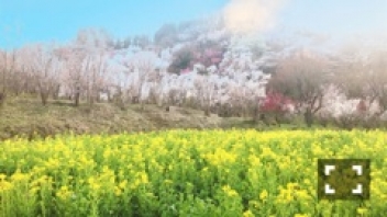 ブログイメージ